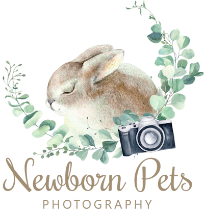 Newborn-Pets